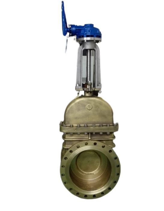 Oxygen Gate Valve